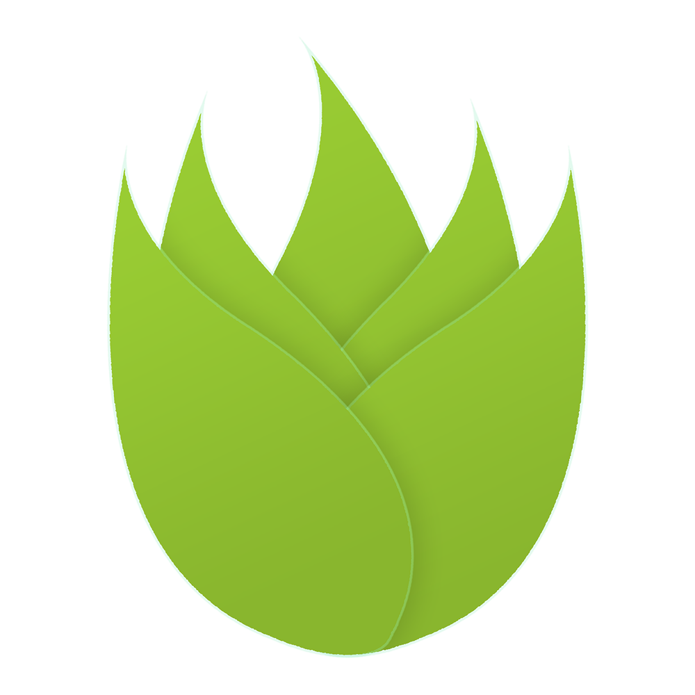 chinese medicine icon